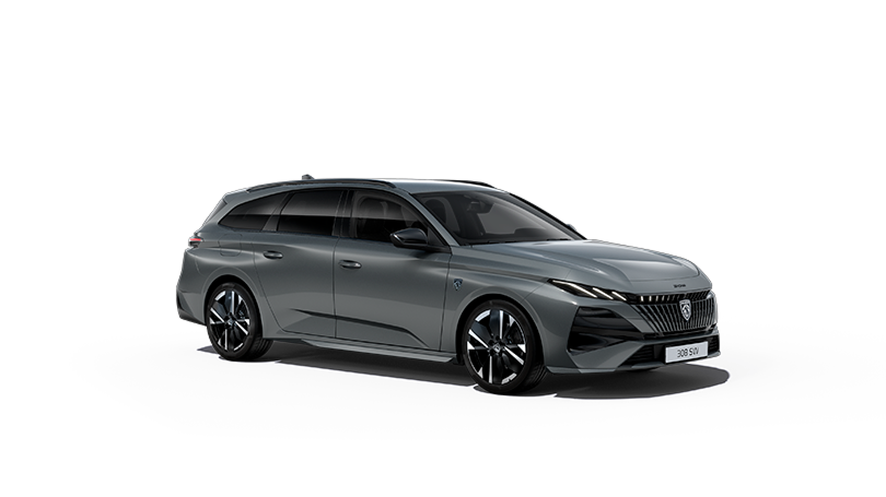 Novi 308 SW